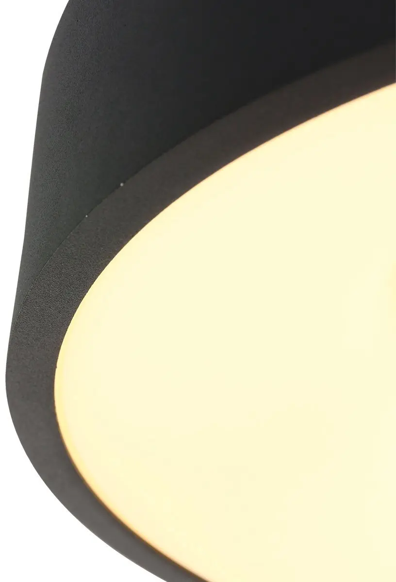 Steinhauer Ringlede Plafonnière Ø48cm - 1 Lichtpunt - Zwart/Wit
