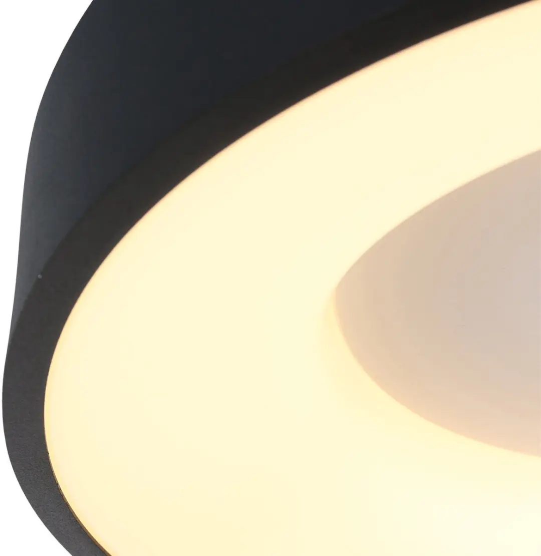 Steinhauer Ringlede Plafonnière Ø48cm - 1 Lichtpunt - Zwart/Wit
