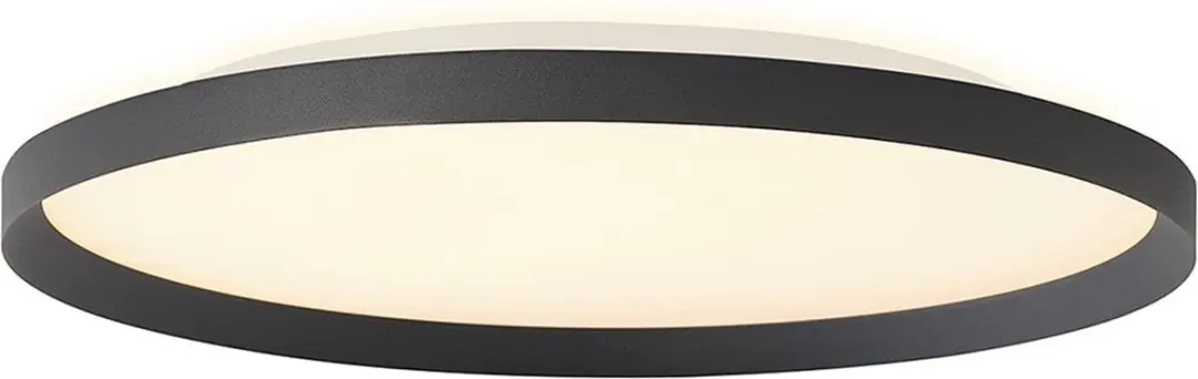 Steinhauer Plafondlamp Flady 3685ZW