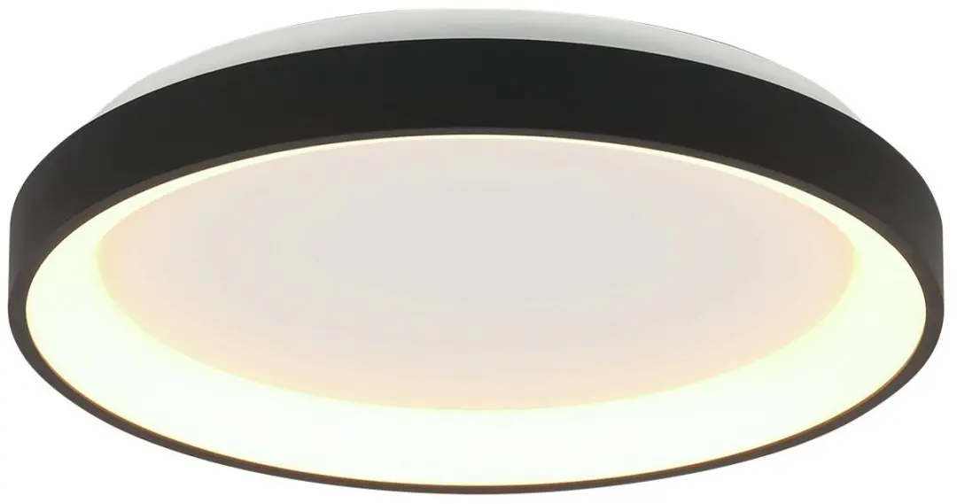 Steinhauer Plafondlamp Ringlede 3691ZW
