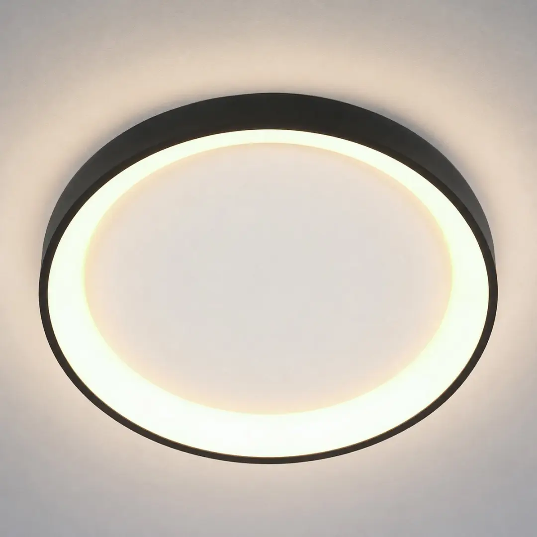 Steinhauer Plafondlamp Ringlede 3691ZW - 38cm Dimbare Warm Wit - afbeelding 6 van 6