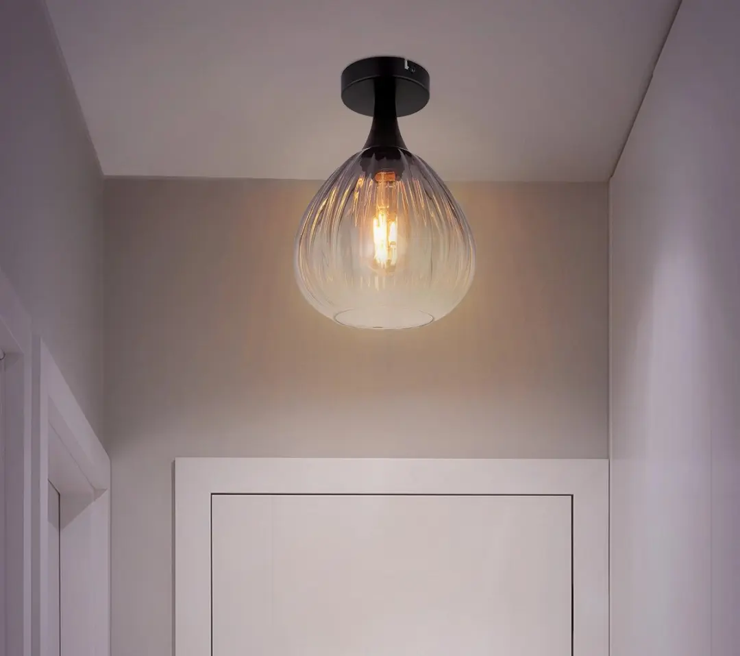 Globo Olsen Plafondlamp - Ø20cm - Zwart - E27