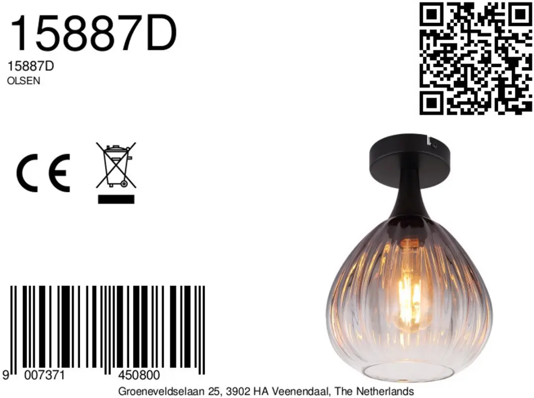 Globo Olsen Plafondlamp - Ø20cm - Zwart - E27