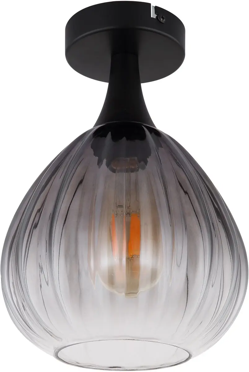 Globo Olsen Plafondlamp - Ø20cm - Zwart - E27