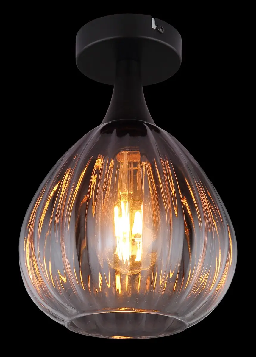 Globo Olsen Plafondlamp - Ø20cm - Zwart - E27