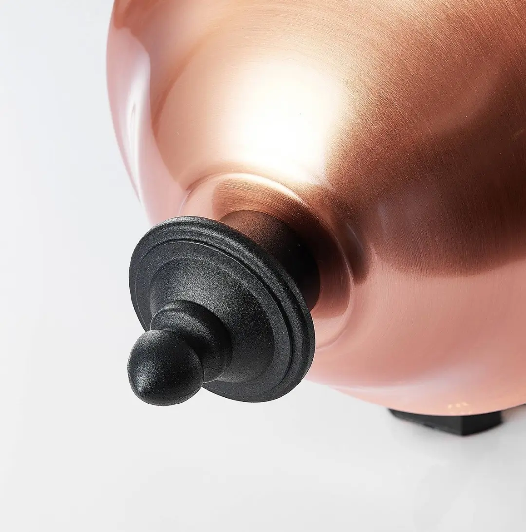 Lindby Wandlamp Buiten 1 Licht E27 - Zwart/Koper/Transparant
