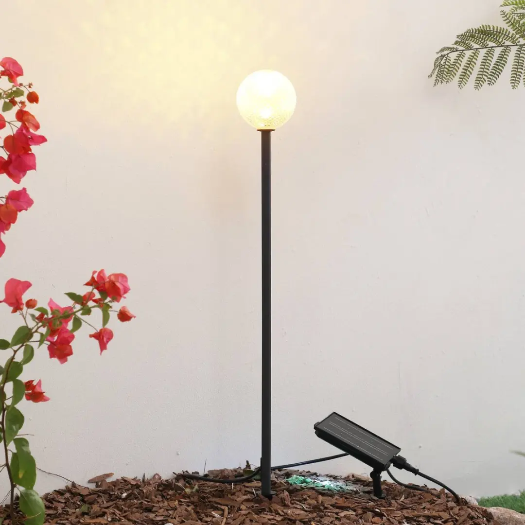 Lindby Sfeerverlichting Buiten 1 Licht - 0.24W - Zwart/Heldere Glas