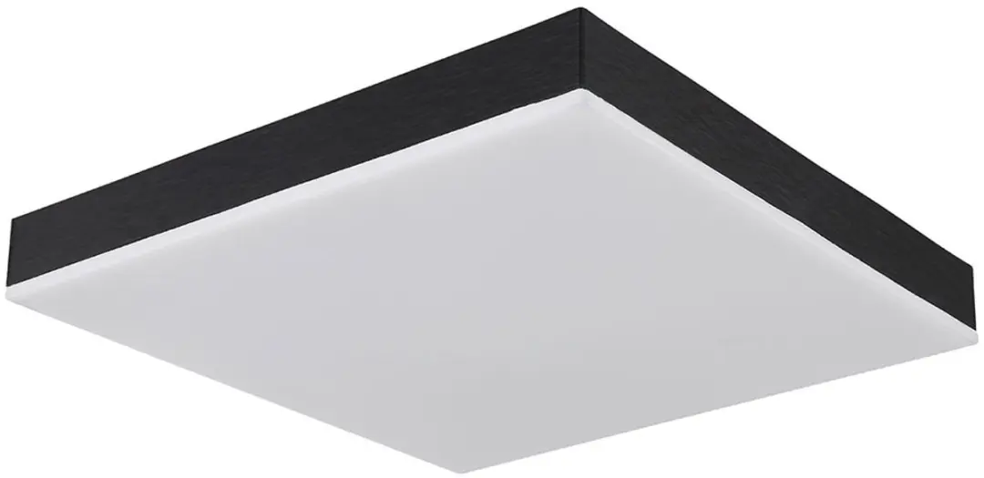 Globo Plafondlamp Zwart