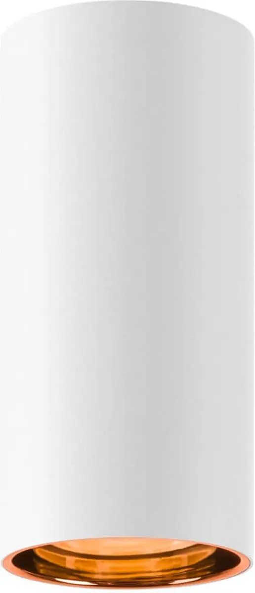 SLV Asto Tube Cilinder Plafondspot GU10