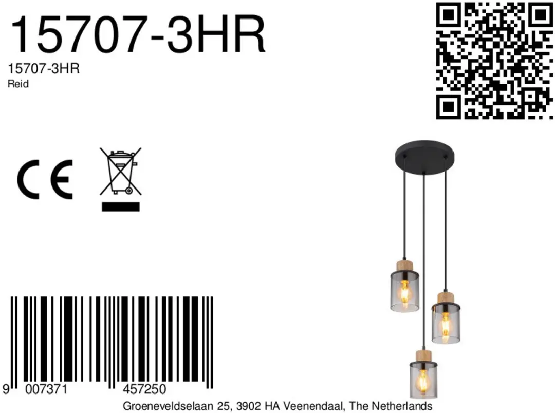 Globo Reid Hanglamp - 3 Lichtpunten - Ø27cm - Zwart