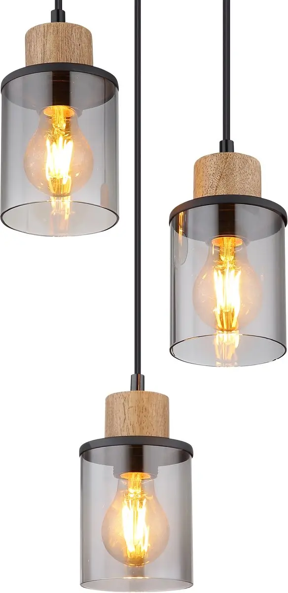 Globo Reid Hanglamp - 3 Lichtpunten - Ø27cm - Zwart
