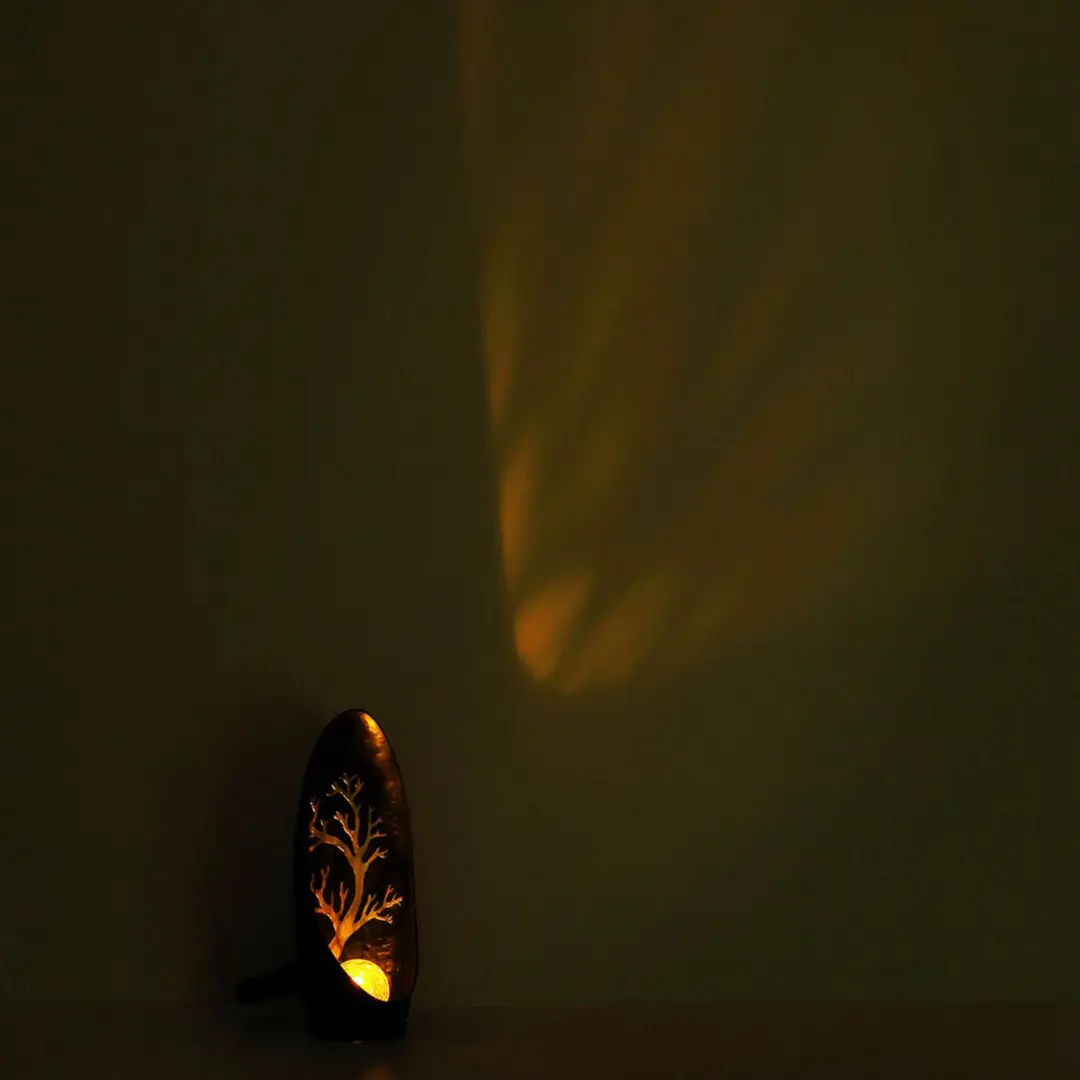 Globo Solar Tuinlampen Zwart Zilver - 2 Stuks