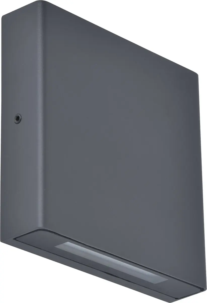 Lutec Pili LED Wandlamp Buiten 800Lm 4000K