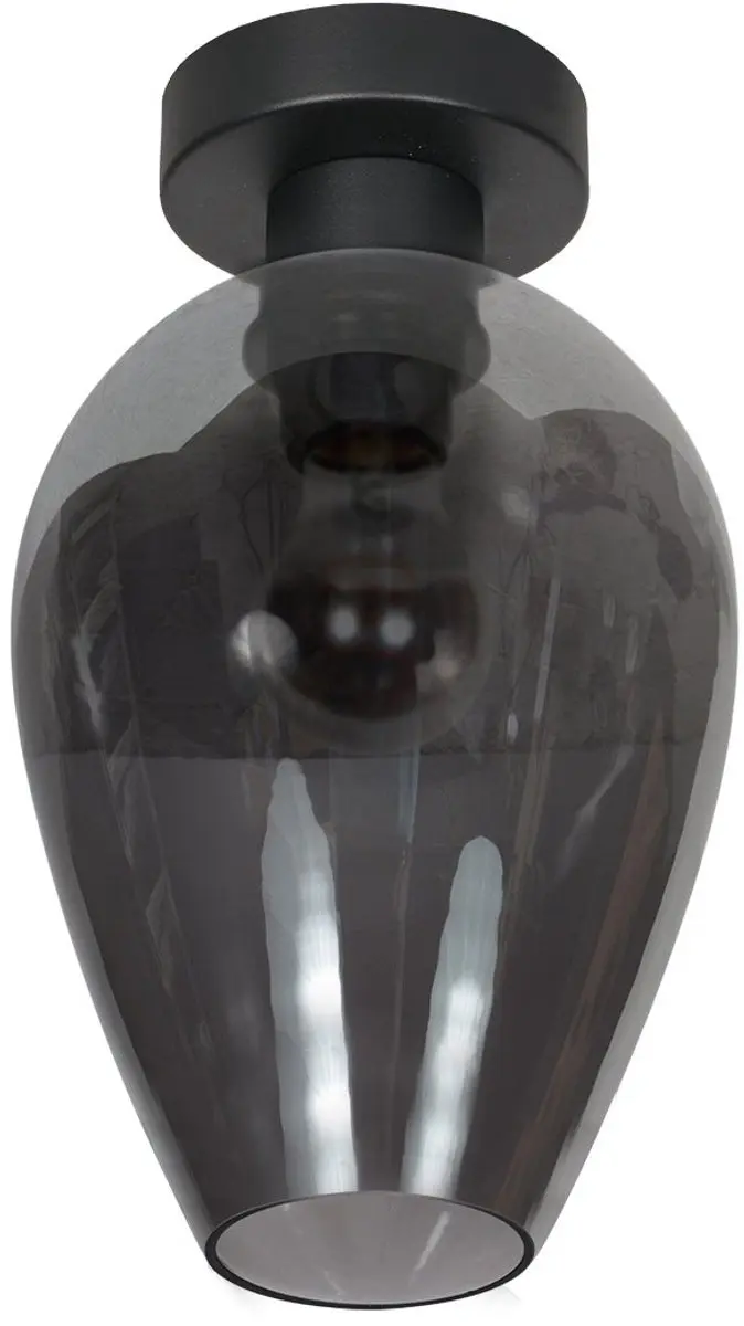 Steinhauer Drovia 4371ZW Plafonnier