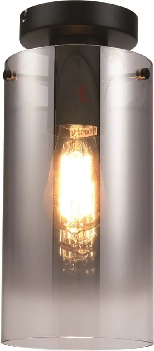 Freelight Ventotto Plafondlamp - Ø15cm Rookglas Zwart
