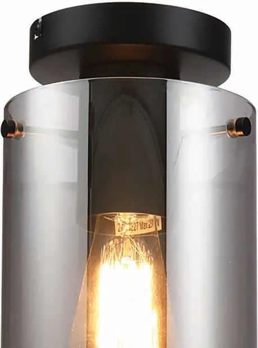 Freelight Ventotto Plafondlamp - Ø15cm Rookglas Zwart