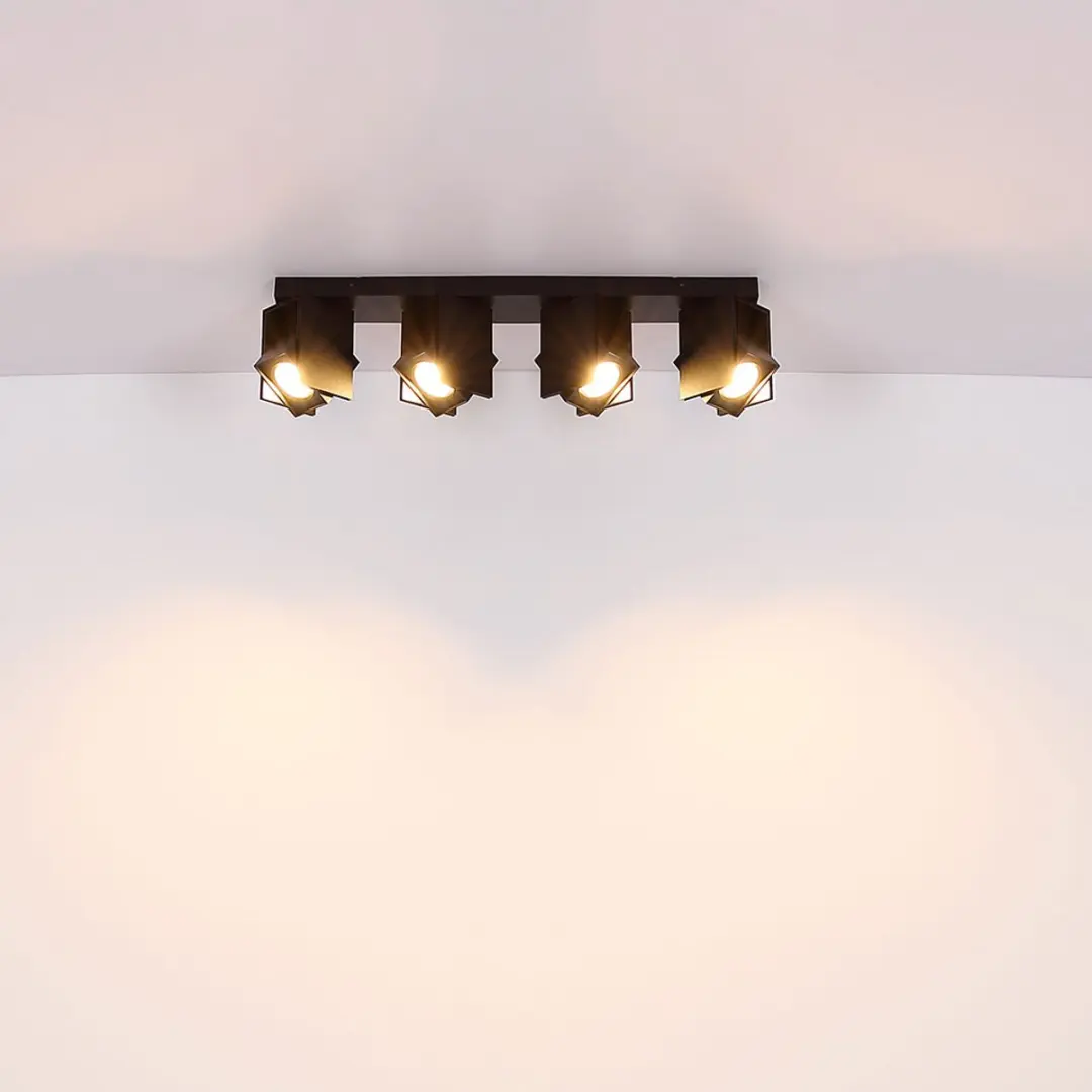 Globo Plafondlamp 4 Spots Zwart