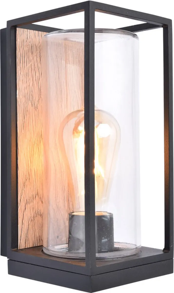Lutec Flair Wandlamp E27 40W