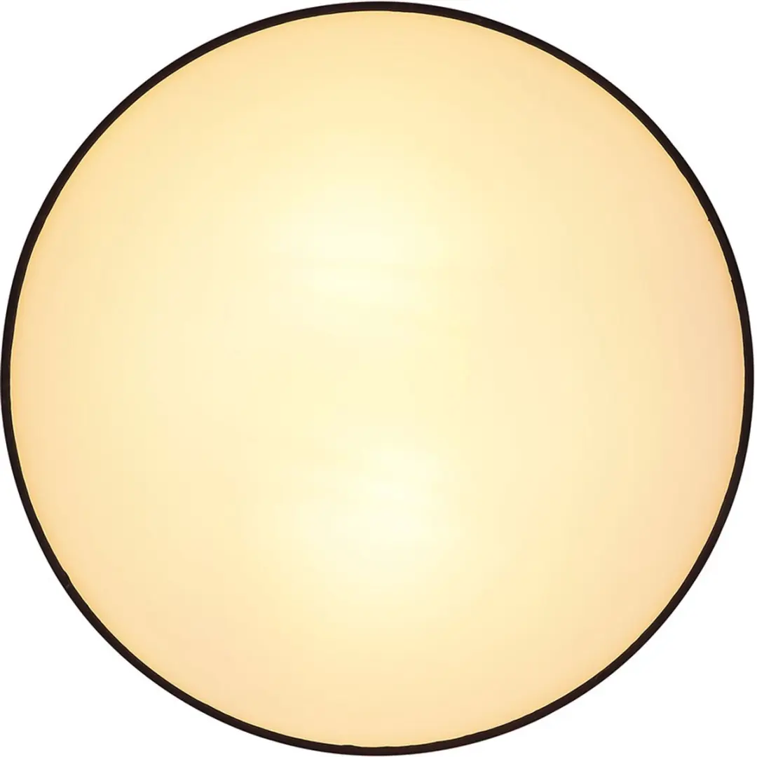Globo Plafondlamp 2-vlammen E27 - 35cm - Zwart