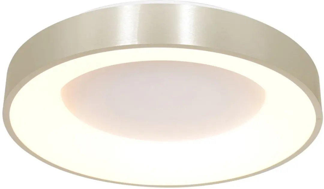 Steinhauer Plafonnier Ringlede 2563ZI