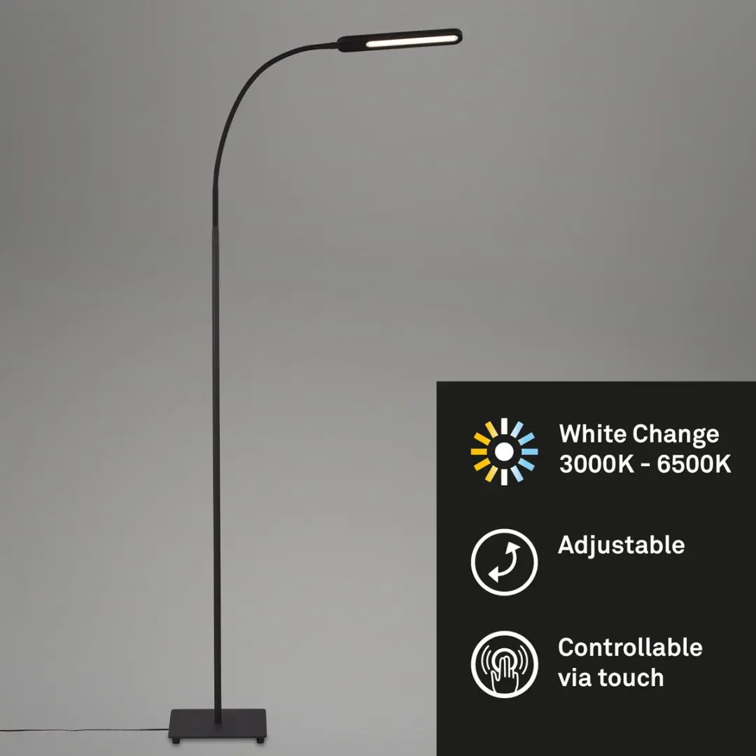 Briloner Ervo LED Vloerlamp - 8W 600lm 183cm - Dimbaar CCT - Zwart