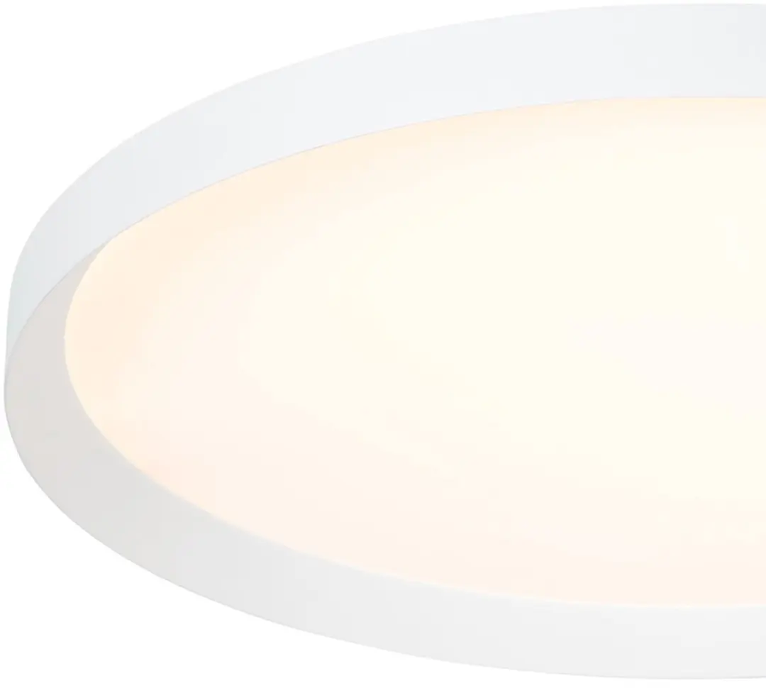 Steinhauer Plafondlamp Flady 4367W LED - 2x20W Warm Wit - Ø30cm
