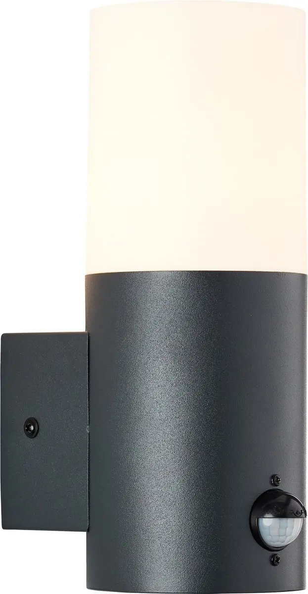Brilliant Aberdeen Buiten Wandlamp