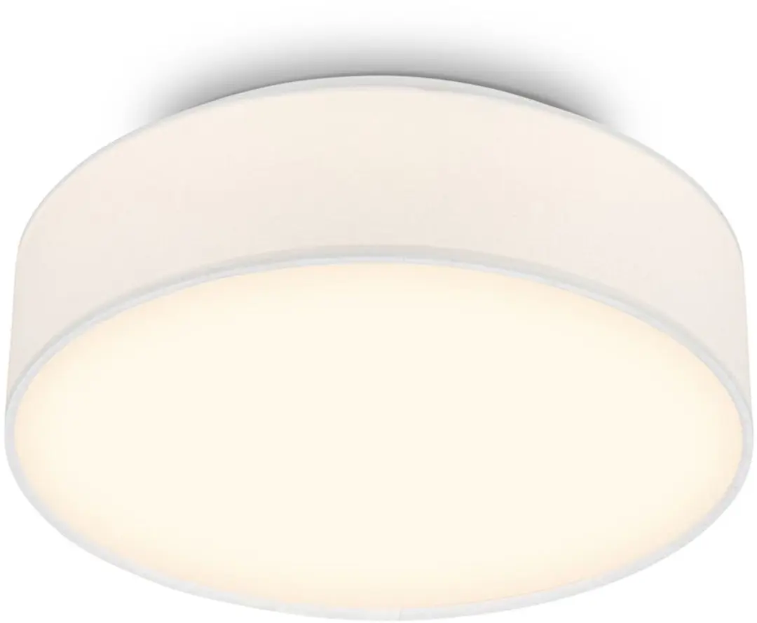 Briloner Duck Plafondlamp 16W
