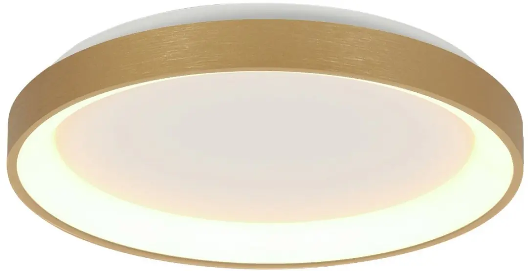 Steinhauer Plafondlamp Ringlede 3691GO