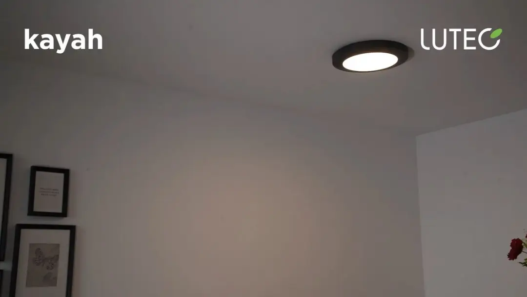 Lutec Kayah Wandlamp Buiten LED 16.5W - Ø30.5cm Donkergrijs - afbeelding 6 van 6