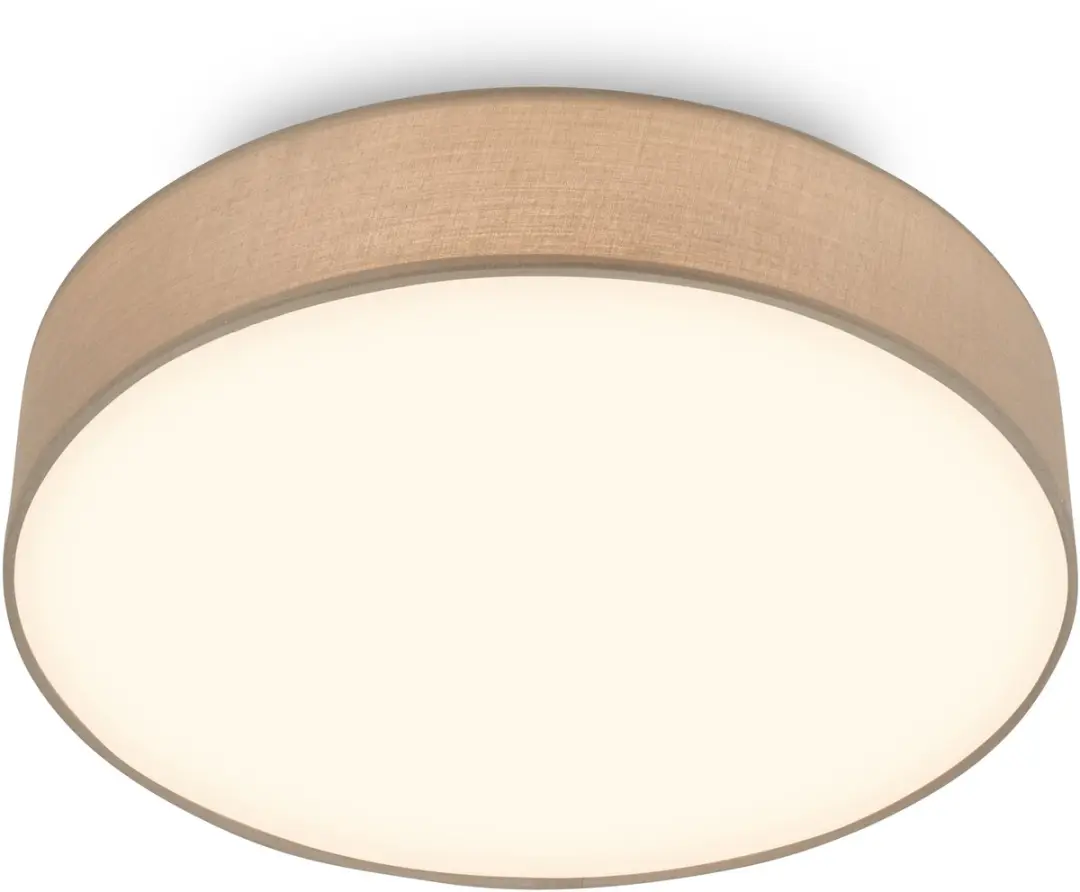 Briloner Duck LED Plafondlamp 24W
