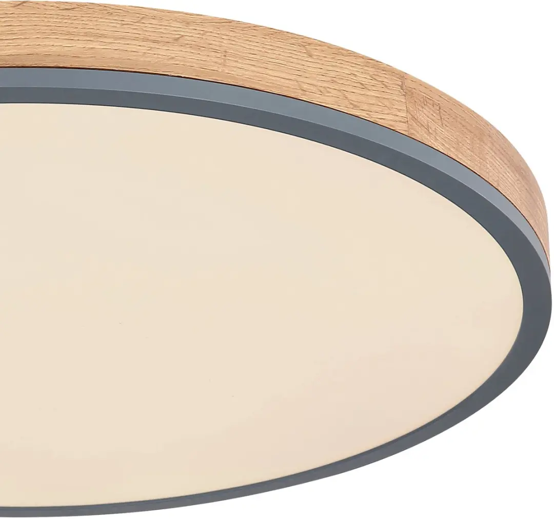 Globo Doro Plafondlamp Ø60cm - Grijs - LED CCT