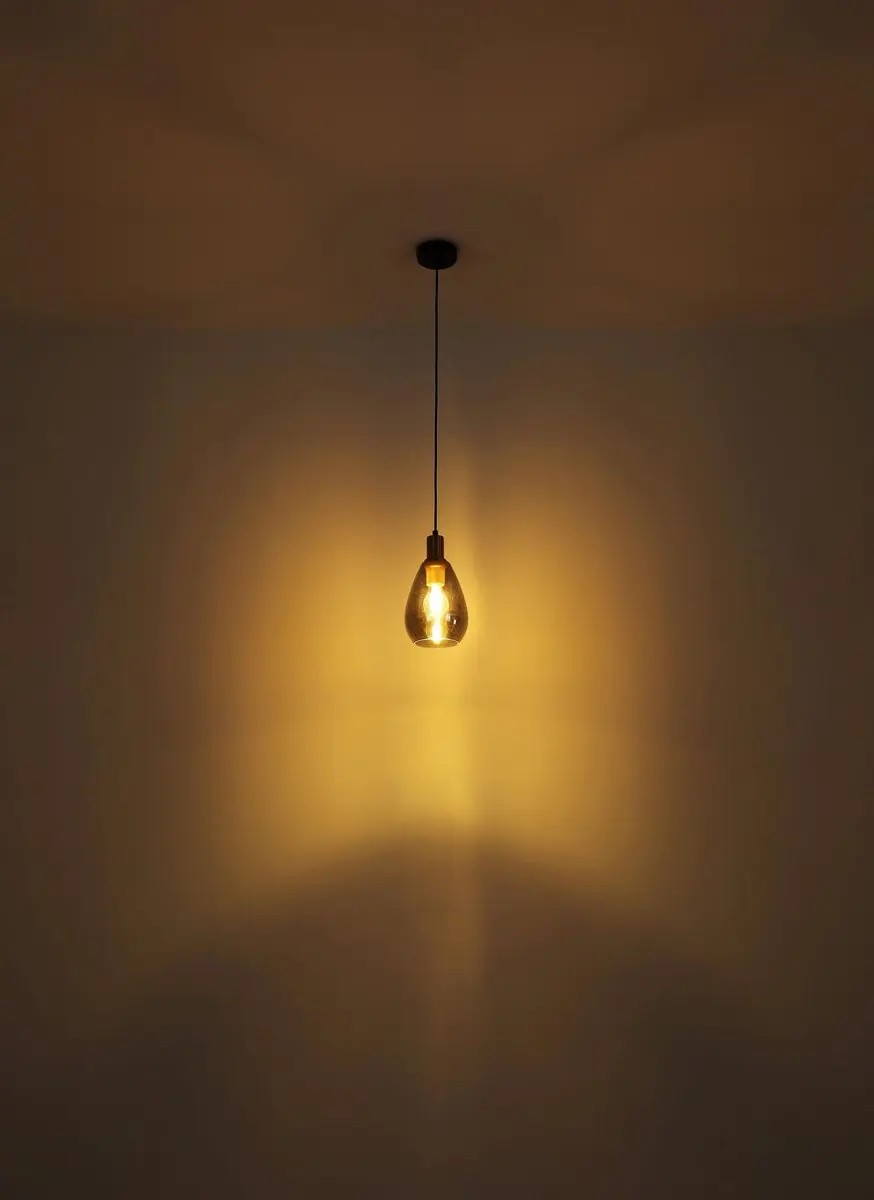 Globo FANNI Hanglamp - Zwart - Ø15cm - E27