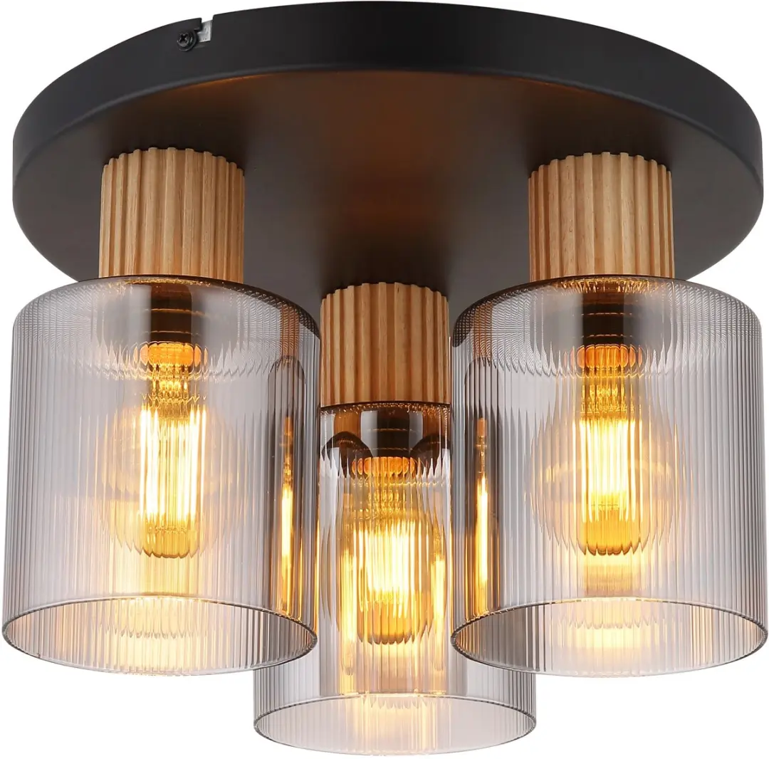 Globo ALEIDIS Plafondlamp