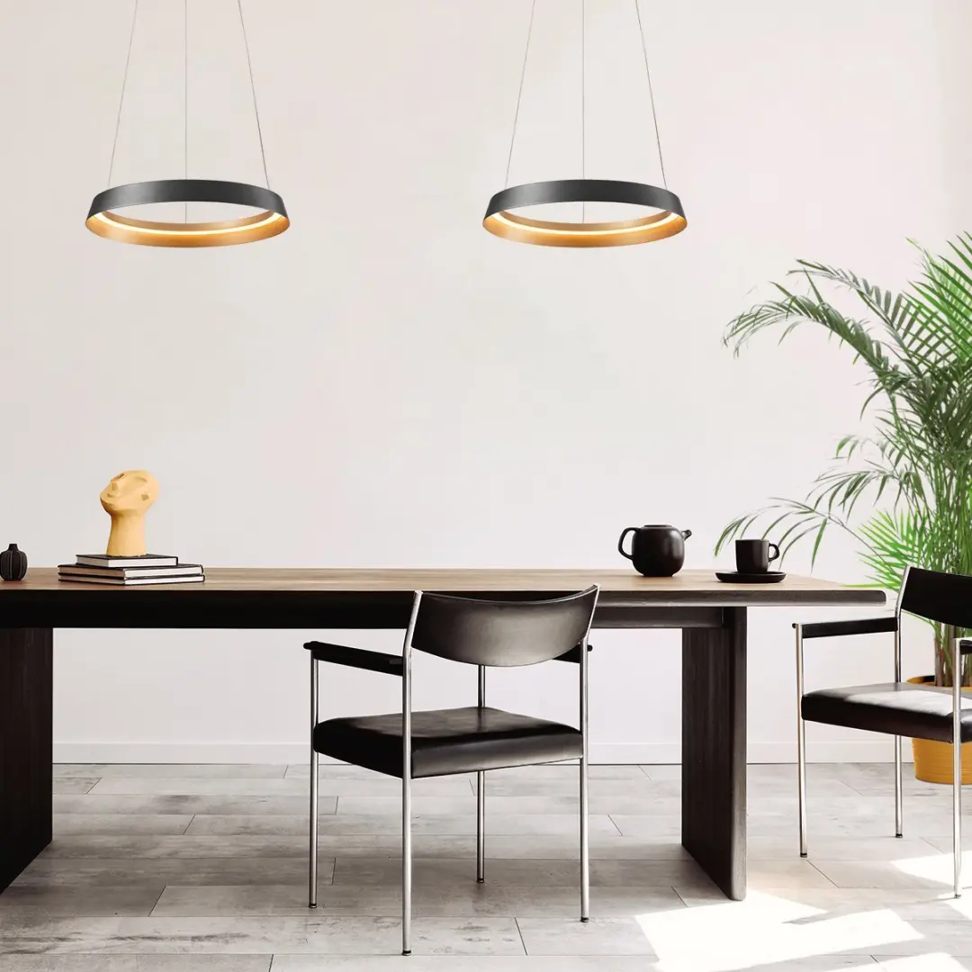 Steinhauer Hanglamp Ringlux 3692ZW LED - Ø60cm - Zwart