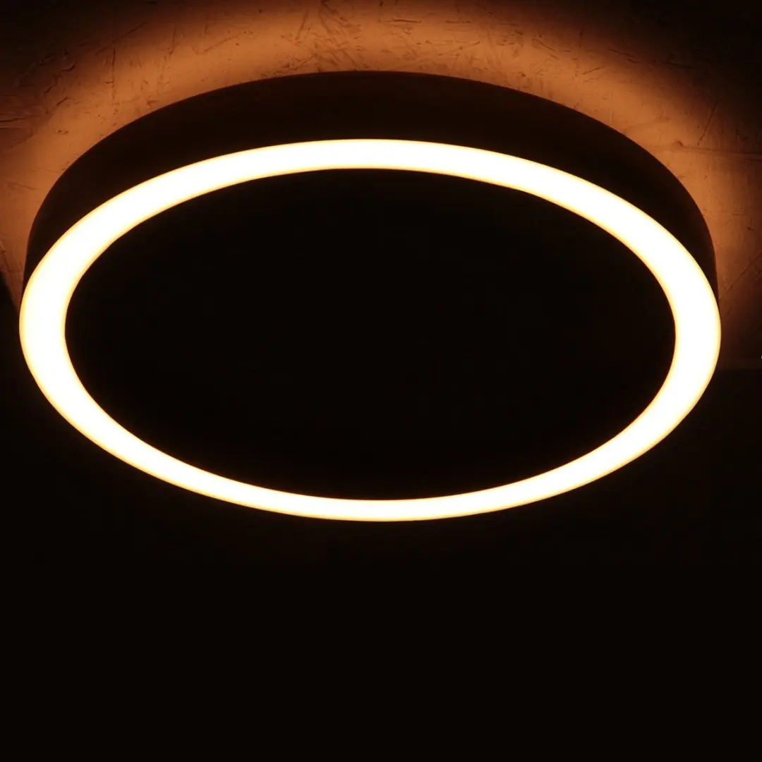 Steinhauer Ringlux 4135ST Plafondlamp - 2x30W 2700K Ø40cm - Zilver