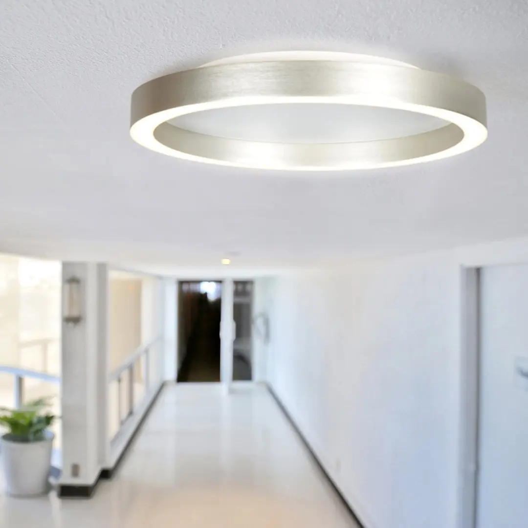 Steinhauer Ringlux 4135ST Plafondlamp - 2x30W 2700K Ø40cm - Zilver