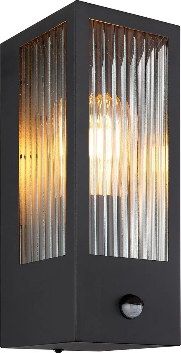 Globo Wandlamp Gundula 31980S