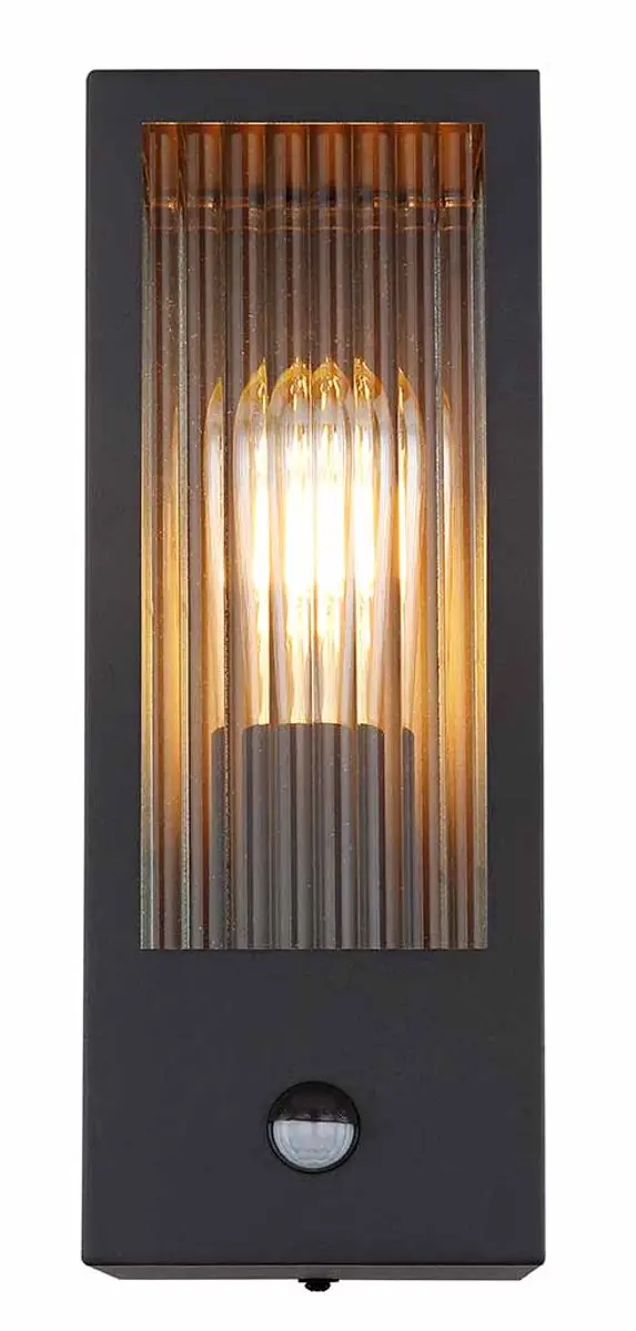 Globo Wandlamp Gundula 31980S - Zwart - Ø12cm