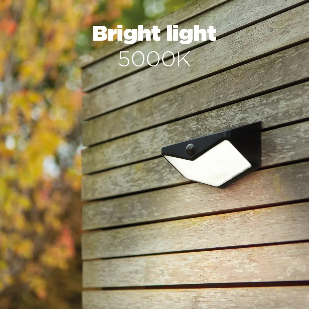 Lutec Wings LED Solar Wandlamp - 500 Lm 5000K - IP44 Zwart