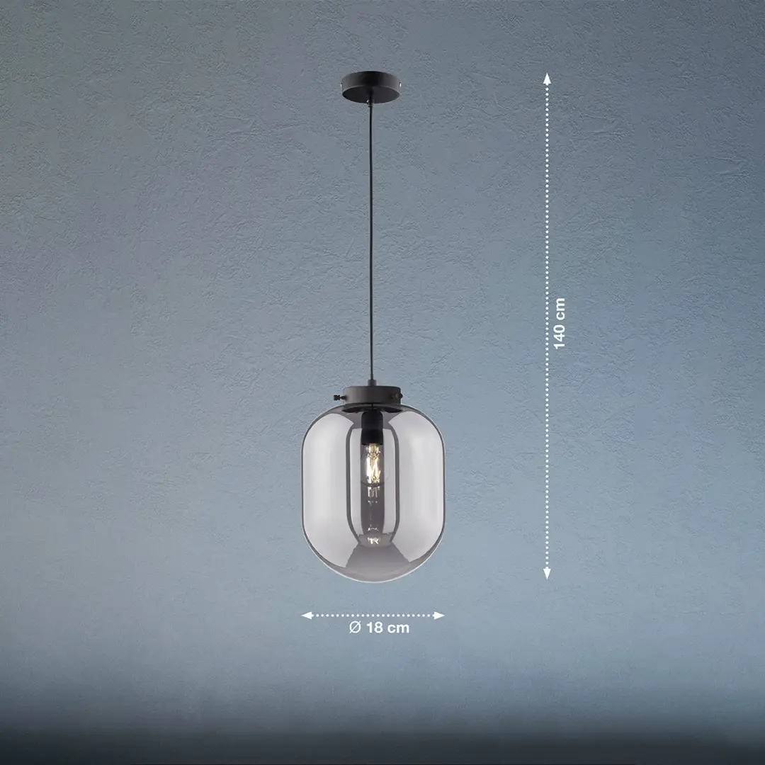 Fischer & Honsel Regi Hanglamp - Ø18cm - Zwart Mat - Rookglas