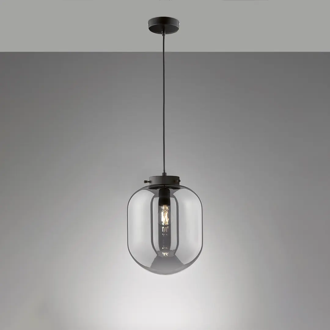 Fischer & Honsel Regi Hanglamp - Ø18cm - Zwart Mat - Rookglas