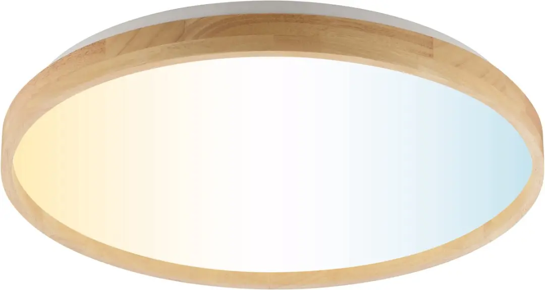 Brilliant Alson Plafondlamp 21W