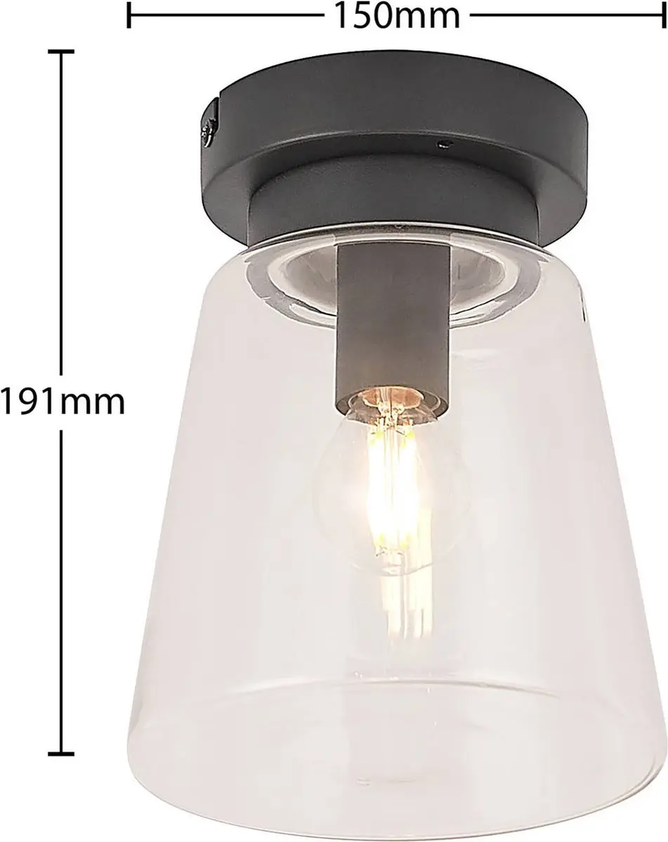 Lindby Plafondlamp Badkamer 1 Licht - Zwart Mat