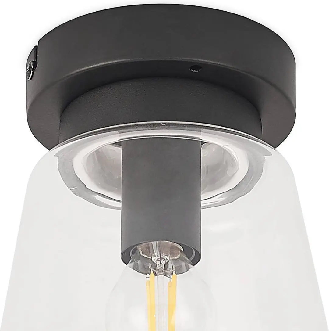 Lindby Plafondlamp Badkamer 1 Licht - Zwart Mat