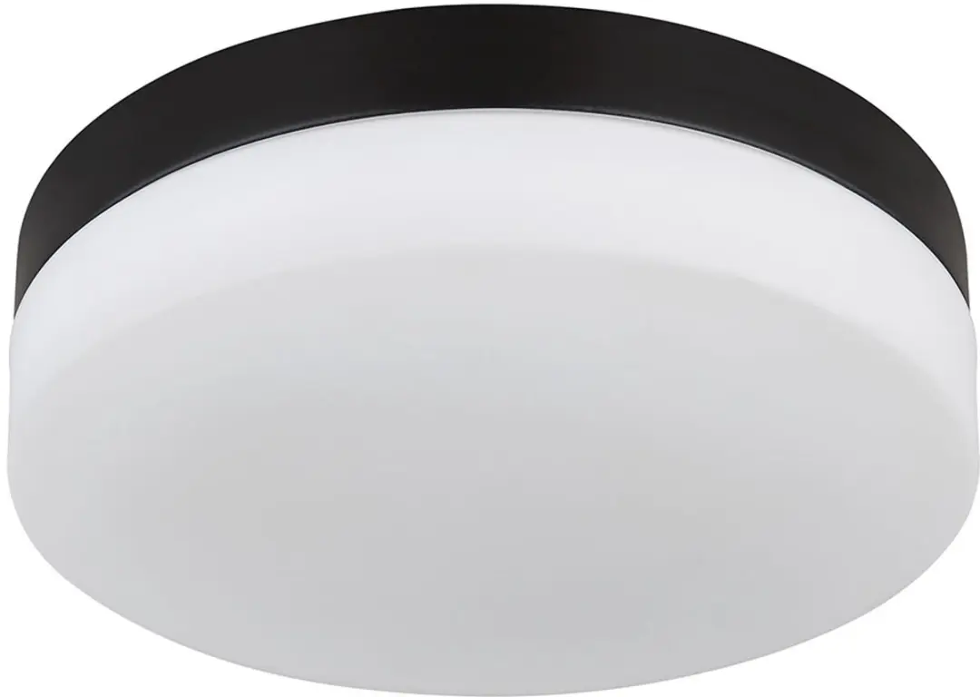 Globo Plafondlamp Buiten 2-vlammen