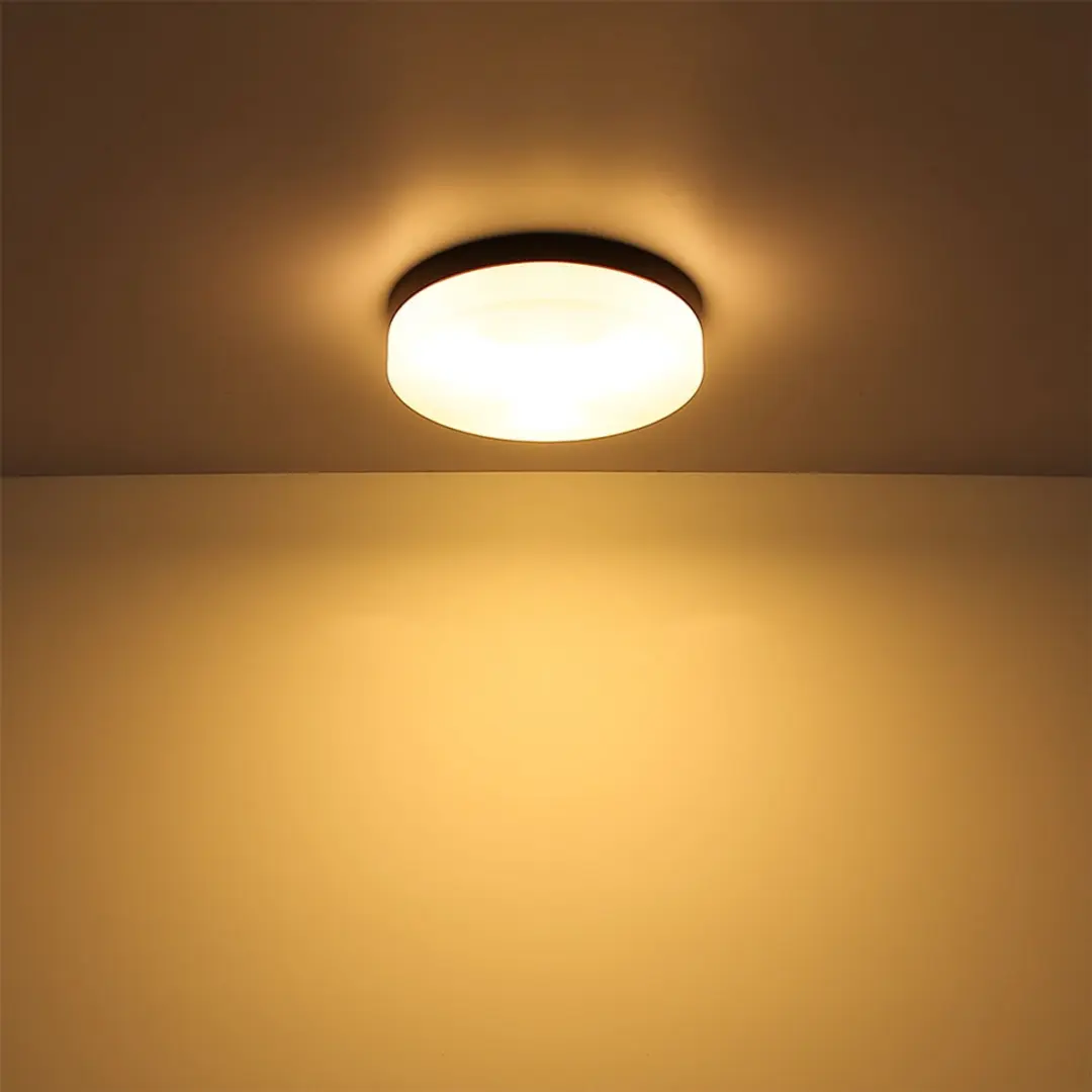 Globo Plafondlamp Buiten 2-vlammen - Zwart - IP44