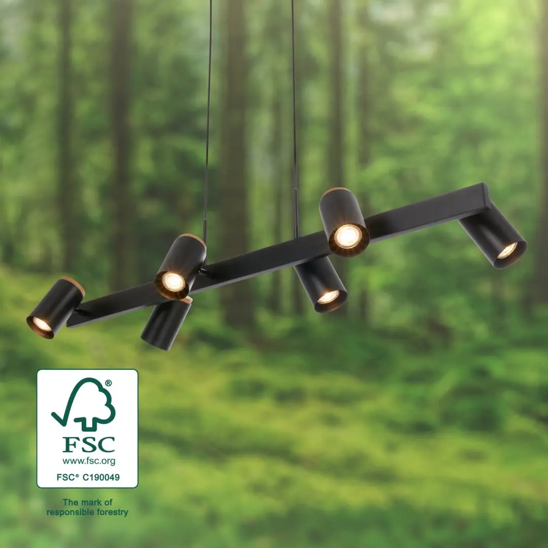 Briloner Duta Hanglamp 6x GU10 - 110x24,9x120cm - Zwart & Hout