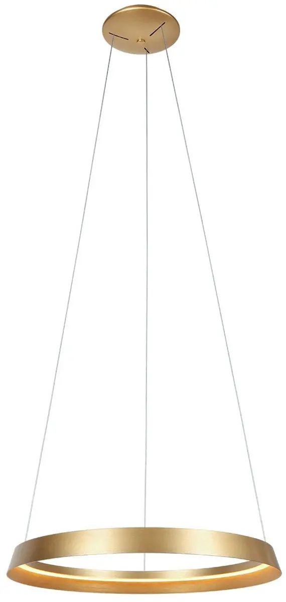 Steinhauer Hanglamp Ringlux 3692GO