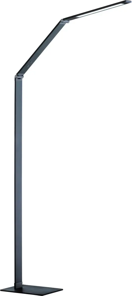 Fischer & Honsel Geri Vloerlamp 8W - 810 Lumen - Antraciet